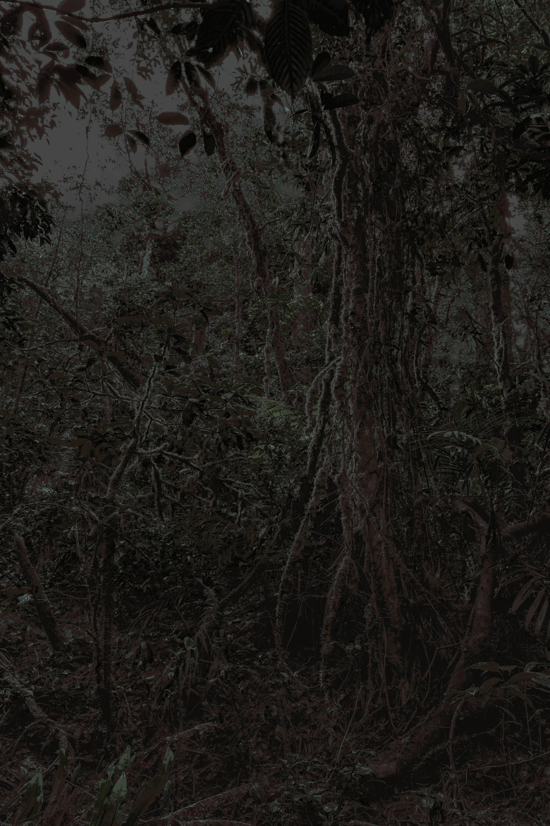 MATTHEW SWARTS MG 0289 2F COPY