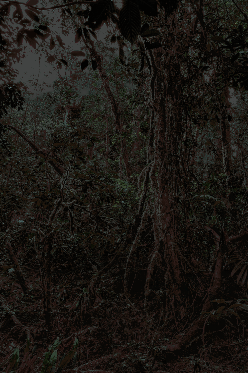 MATTHEW SWARTS MG 0289 2F COPY