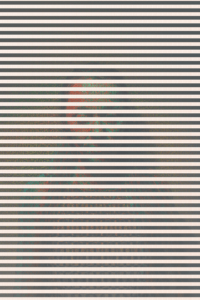 MATTHEW SWARTS  MG 8583 1E