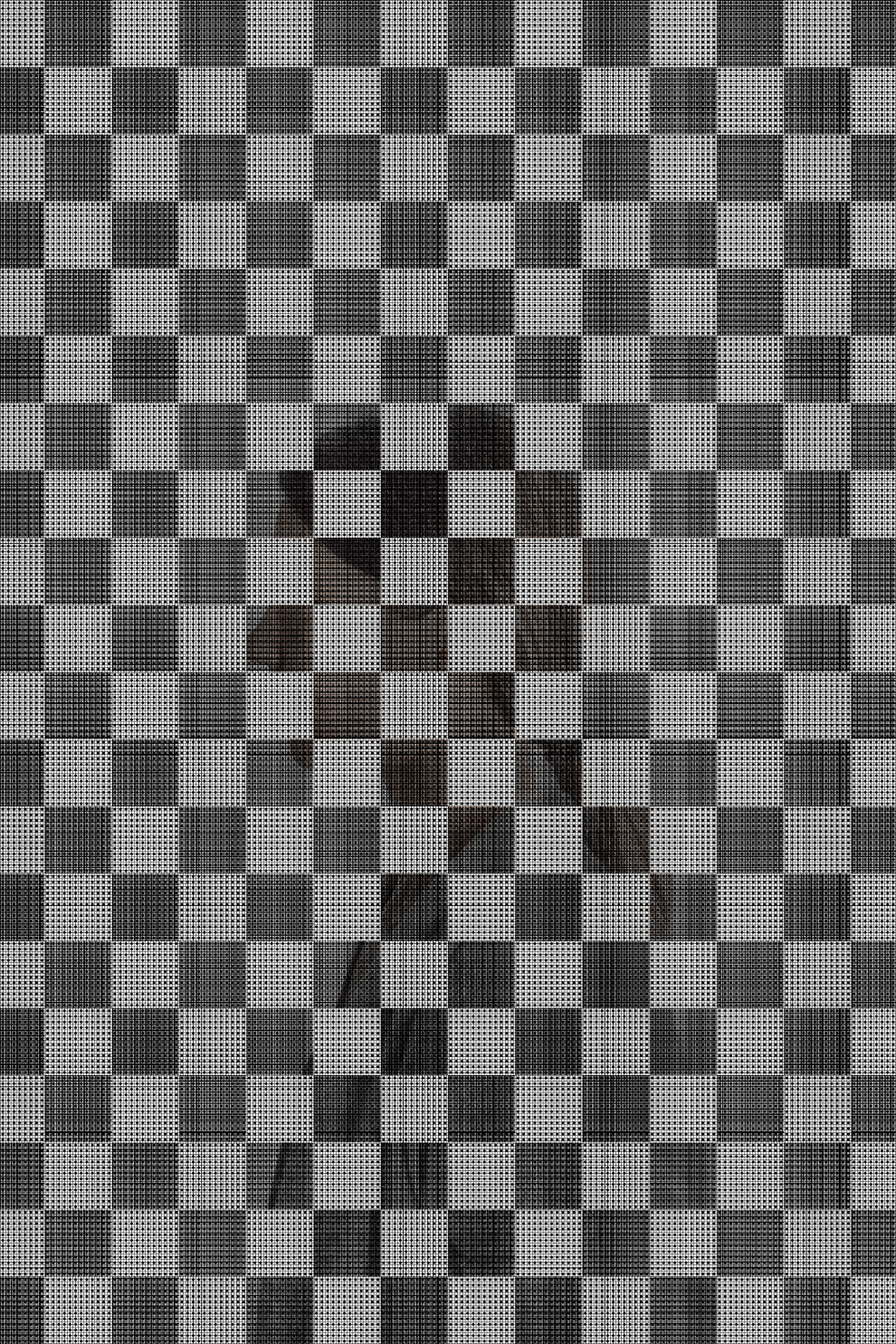 MATTHEW SWARTS THEALTERNATIVES2015 DSC4264B