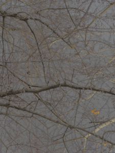 MATTHEW SWARTS  IMG 9097 1BE