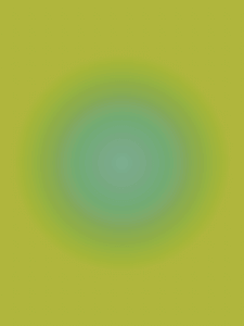 MATTHEW SWARTS  RADIAL20201D