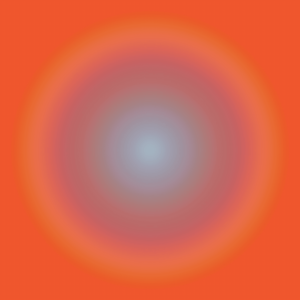 MATTHEW SWARTS RADIAL20201E