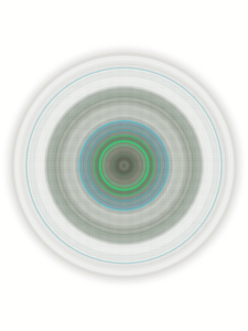 MATTHEW SWARTS  RADIAL20202C