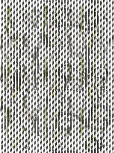 MATTHEW SWARTS  SNAKES1E
