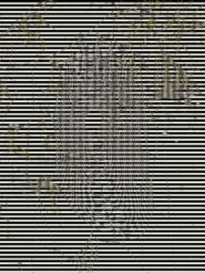 MATTHEW SWARTS  SPIDERWEBD3