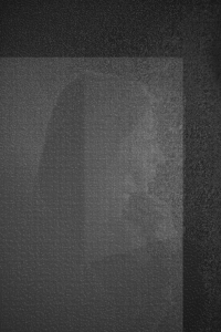 MATTHEW SWARTS  THEALTERNATIVES2014CLEMENCEICABITMAPGO