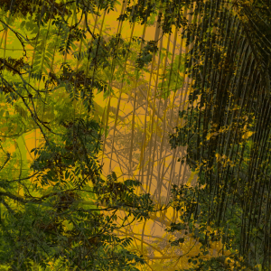 MATTHEW SWARTS DSC00092 1B 1B 2