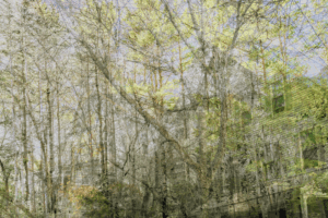 MATTHEW SWARTS  DSC00238 1D