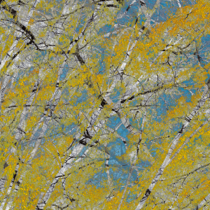 MATTHEW SWARTS DSC5016 1B2B 2