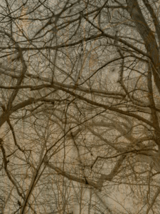 MATTHEW SWARTS  IMG 2402 1D
