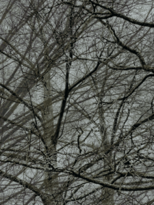 MATTHEW SWARTS  IMG 3808 1C