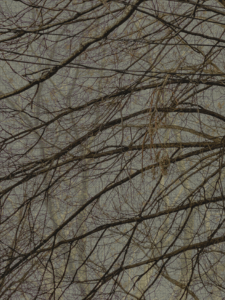 MATTHEW SWARTS  IMG 4888 1F