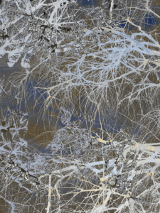 MATTHEW SWARTS  IMG 5315 1B