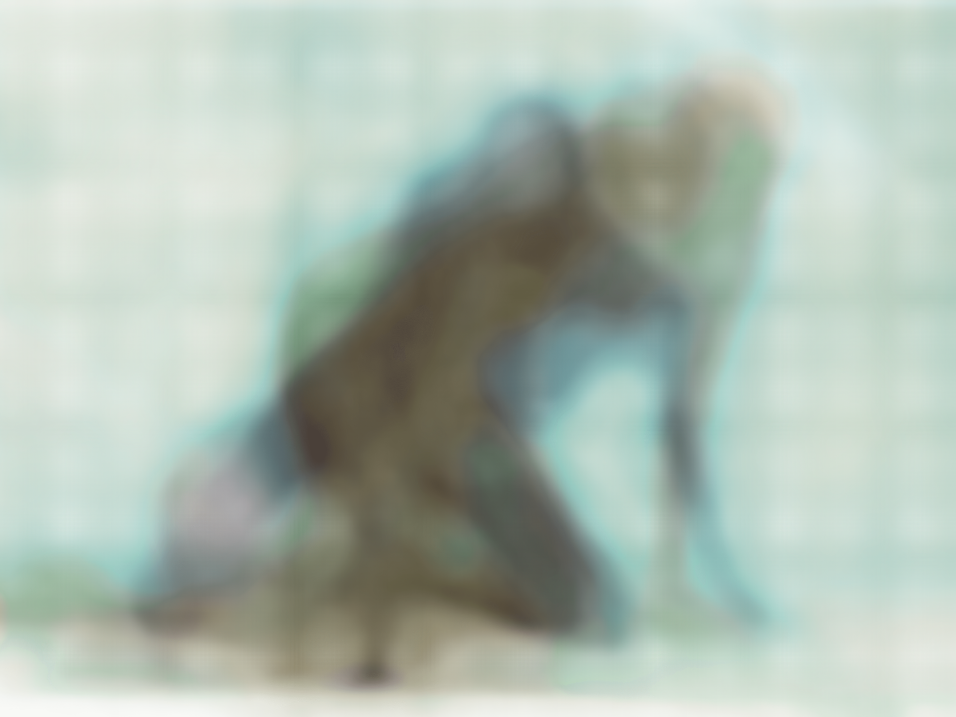 MATTHEW SWARTS IMG 8979 1E