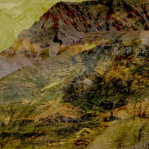 MATTHEW SWARTS SWISS MATTHEWSWARTSSWISS