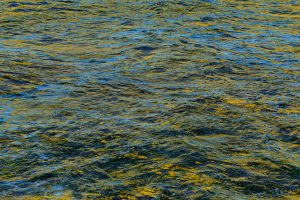 DSC00351A