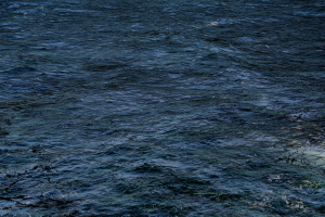 DSC00351C