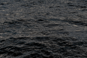 DSC00353A