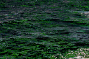 DSC00353D