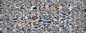 CI CA2022MATTHEWSWARTS