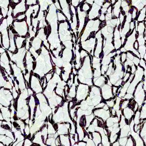 MATTHEW SWARTS UNDERTHING 2023