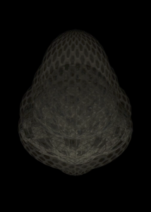 MATTHEW SWARTS ANEMONE