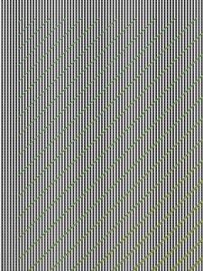 PATTERNFILL20231ATRANSPARENT