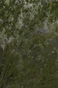 DSC00037 1D