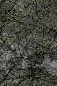 DSC00116 1A2A