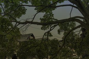 DSC00125 1B