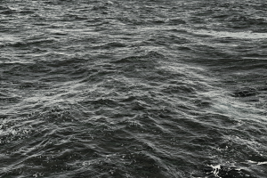 DSC00351 2 1B5