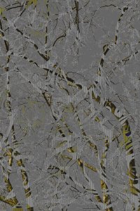 DSC00925 1A