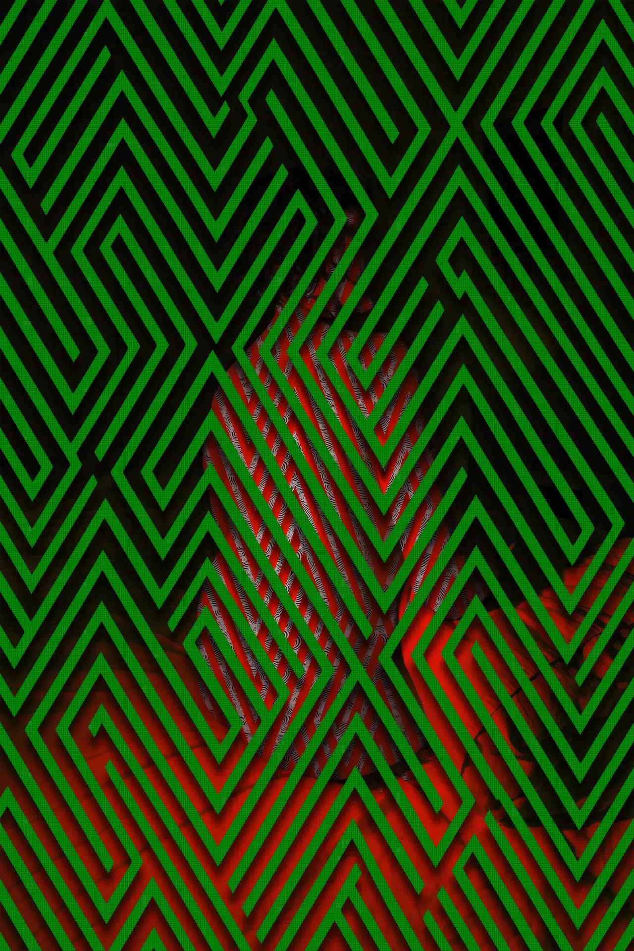 DSC04272F8