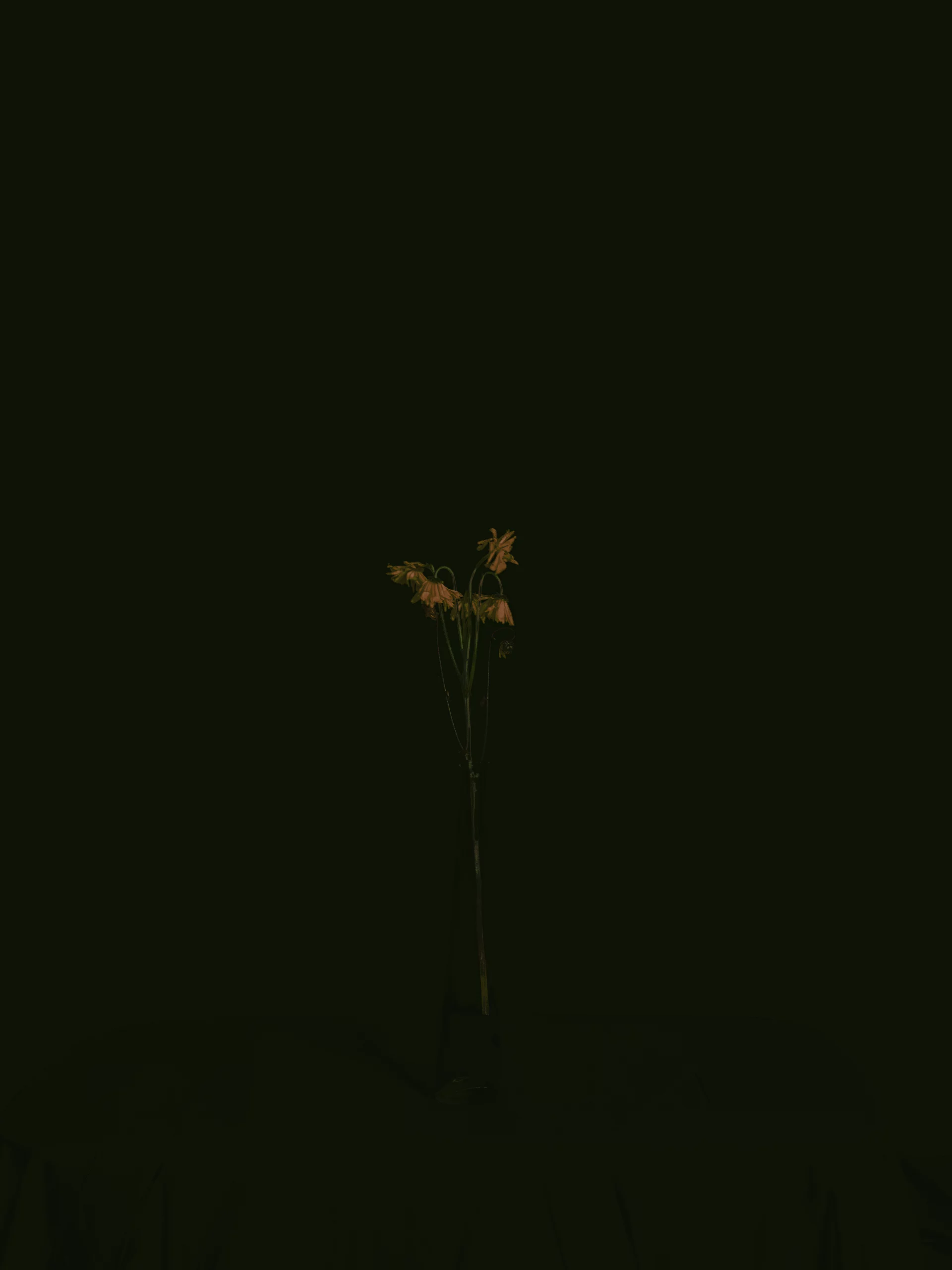 MATTHEW SWARTS DSC1911 1D