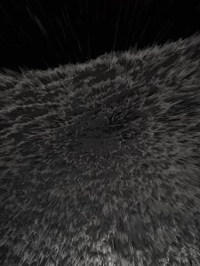 IMG 1117 1D 4