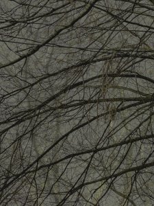 IMG 4888 1F