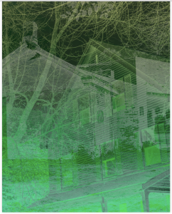 MATTHEW SWARTS BRANCHES BOOK PROJECT 2023 BLURB