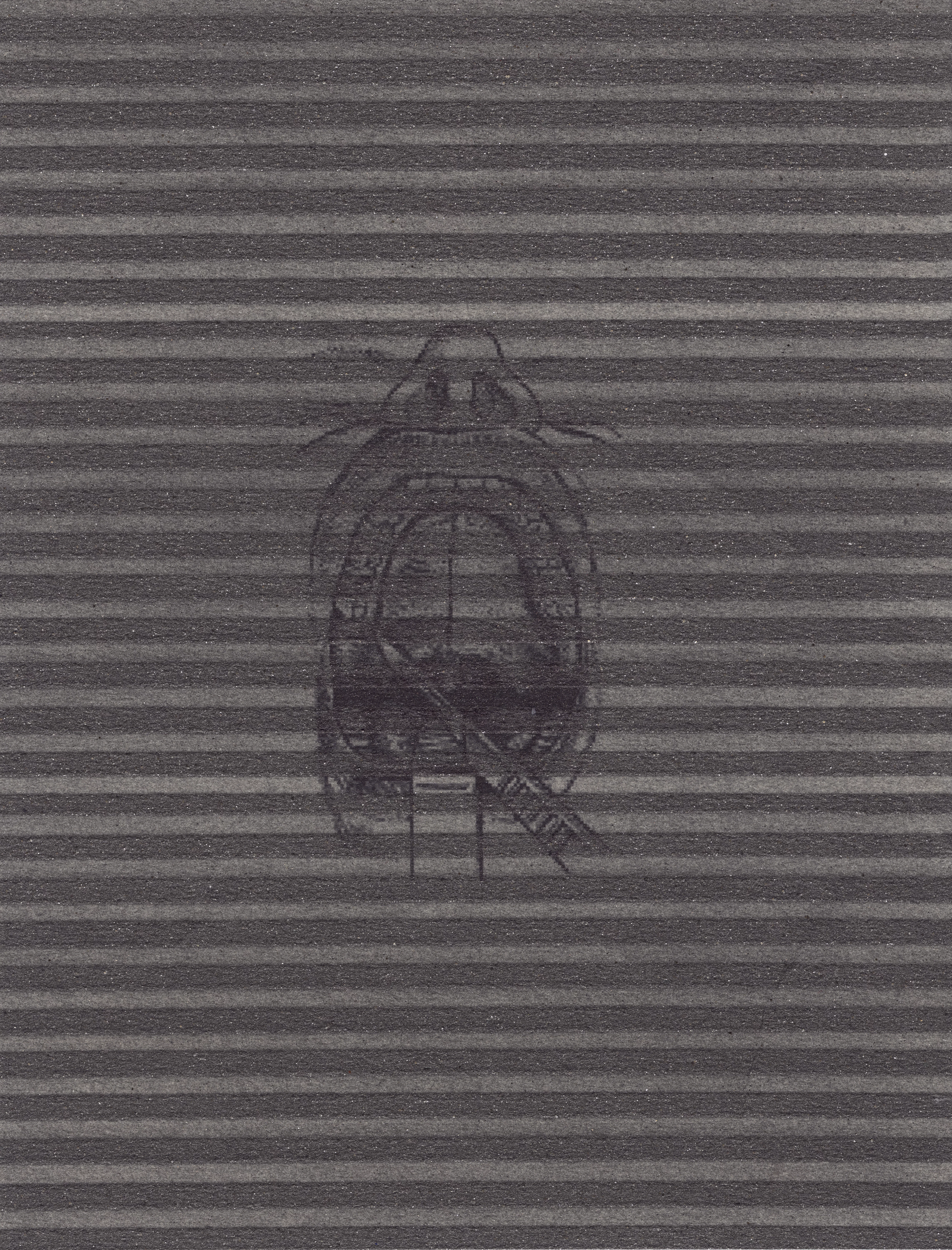 MATTHEW SWARTS Black-and-white image showing a detailed anatomical drawing of a mouth and teeth, centered on a striped, textured background. A syringe points diagonally across the open mouth illustration, reflecting the bold vision of a contemporary ARTIST.
