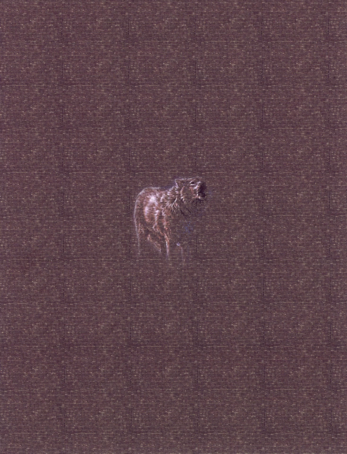 MATTHEWSWARTS UNTITLED 2004 40