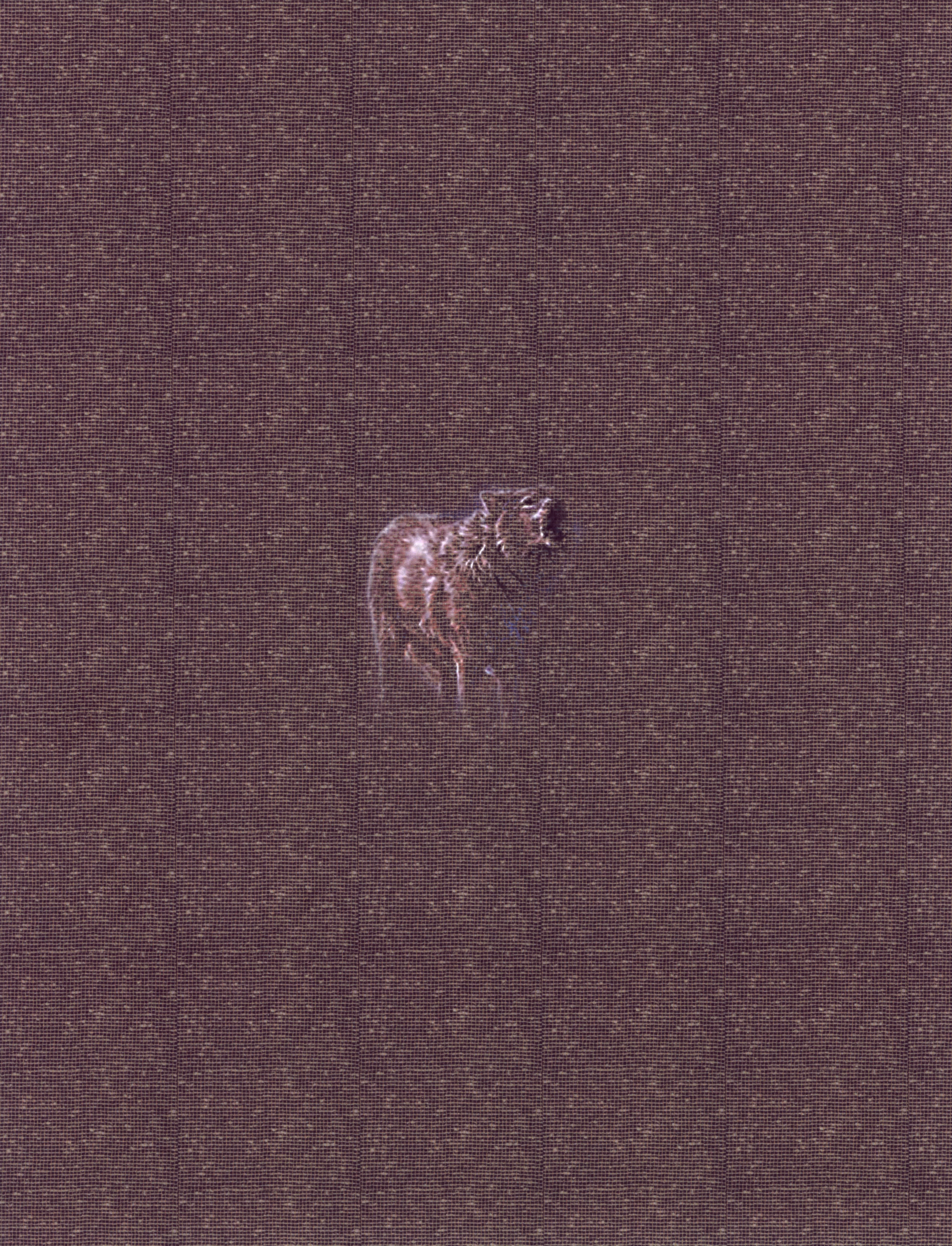 MATTHEW SWARTS A faint, pixelated image of a wolf stands at the center of a dark brown, textured background, blending slightly with the surroundings—a subtle nod to the digital ART of MATTHEW SWARTS.