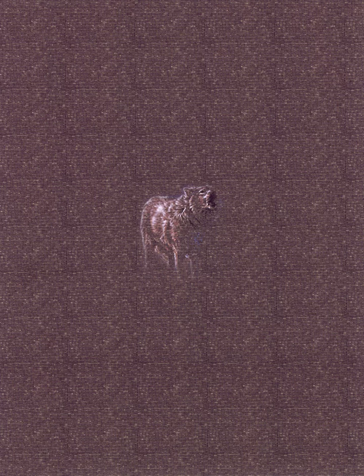 MATTHEWSWARTS UNTITLED 2004 40