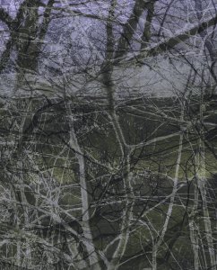 MATTHEWSWARTSBRANCHES122 1A