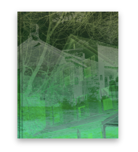 MATTHEW SWARTS, BRANCHES, 2023 (BLURB SELF-PUBLISHED,