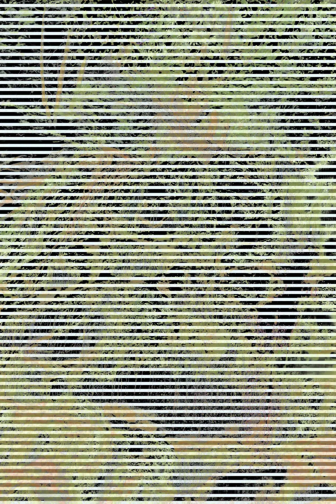 WATERFALL20201C20B
