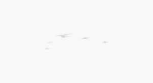 MATTHEW SWARTS  WHITEWHITEWHITE 35