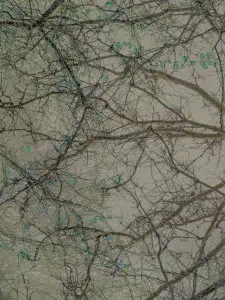 IMG 9099 1 1E COPY