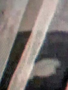 IMG 0073