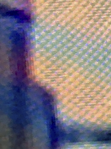 IMG 0239
