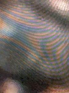 IMG 0272